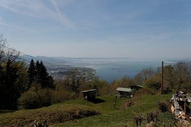 IMG_8981